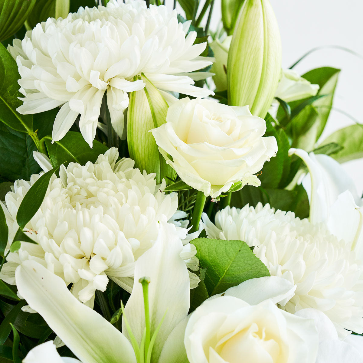 Ann's flowers discount